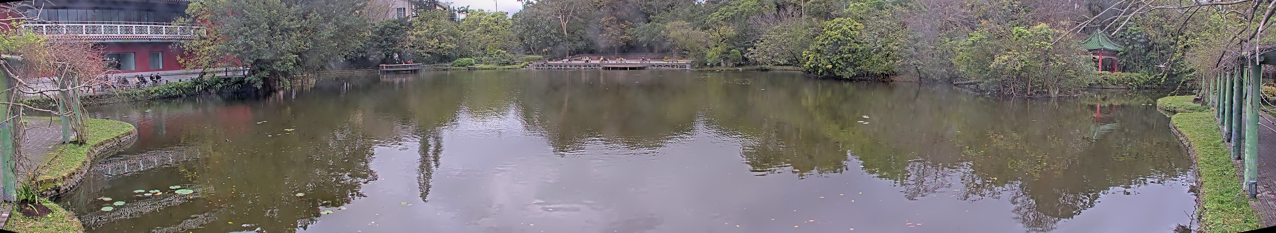 拍照日期:2025-03-06 時間:15時