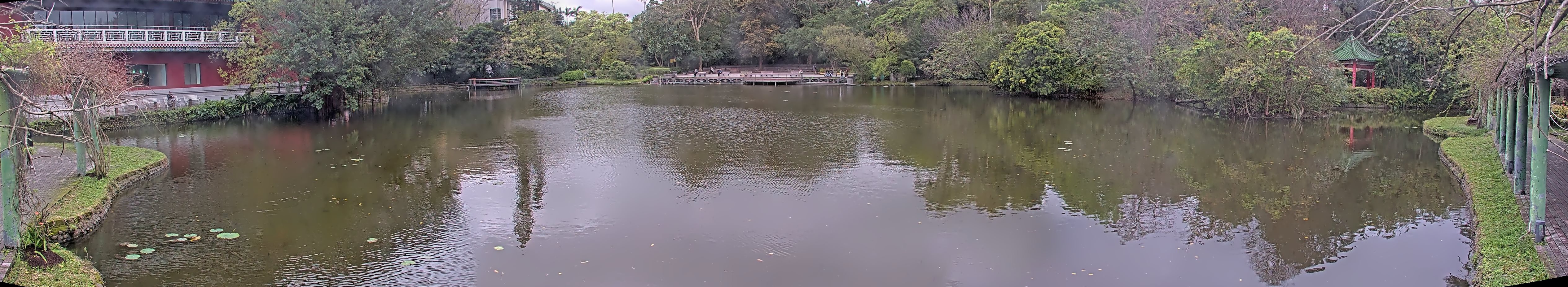 拍照日期:2025-03-06 時間:16時