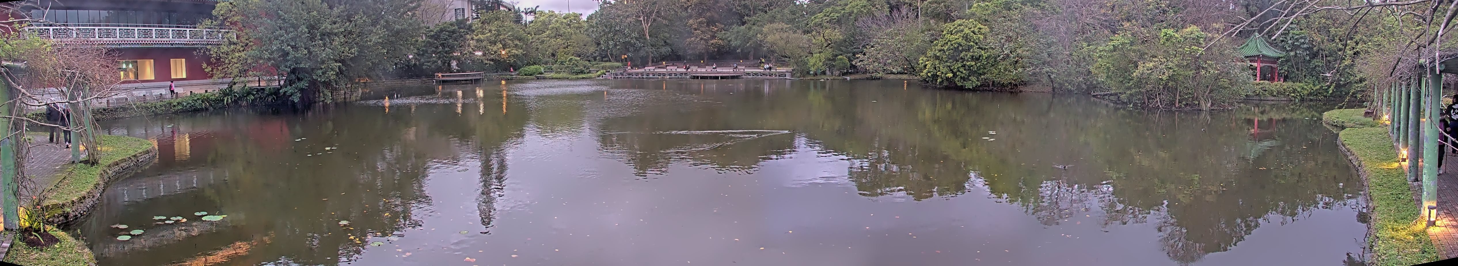 拍照日期:2025-03-06 時間:17時