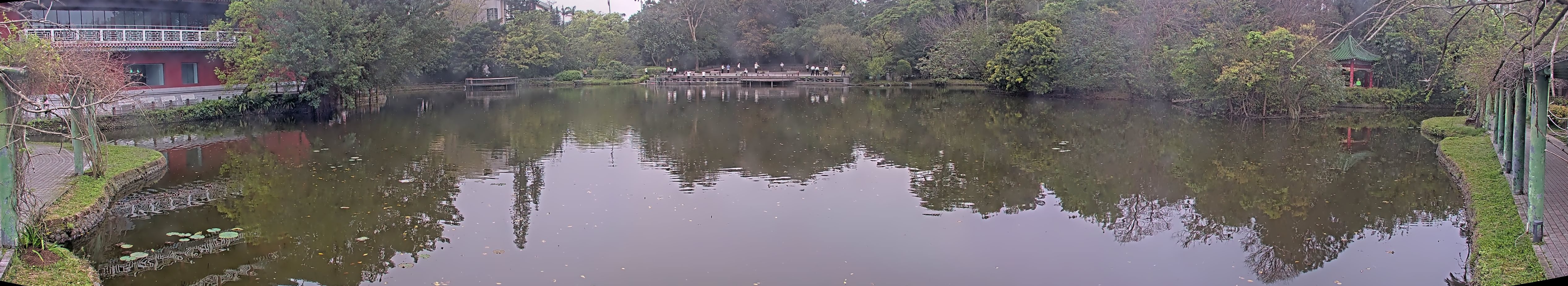 拍照日期:2025-03-11 時間:6時