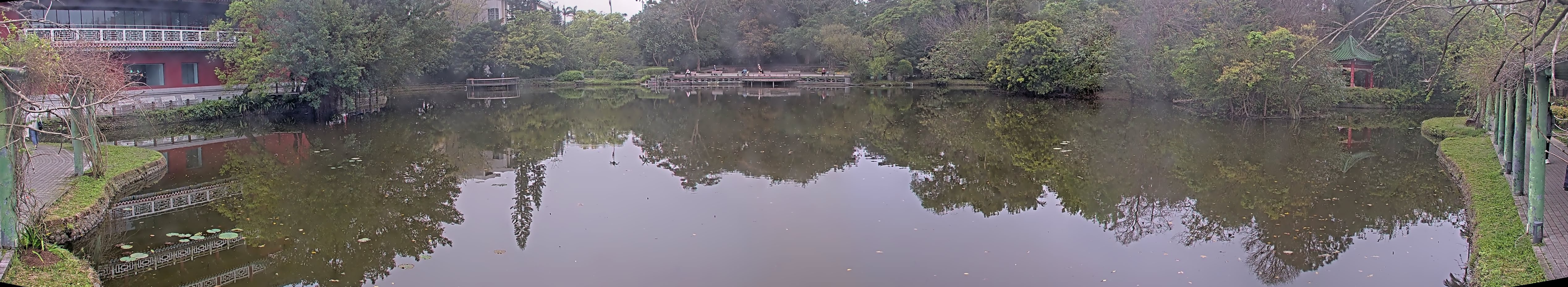 拍照日期:2025-03-11 時間:7時