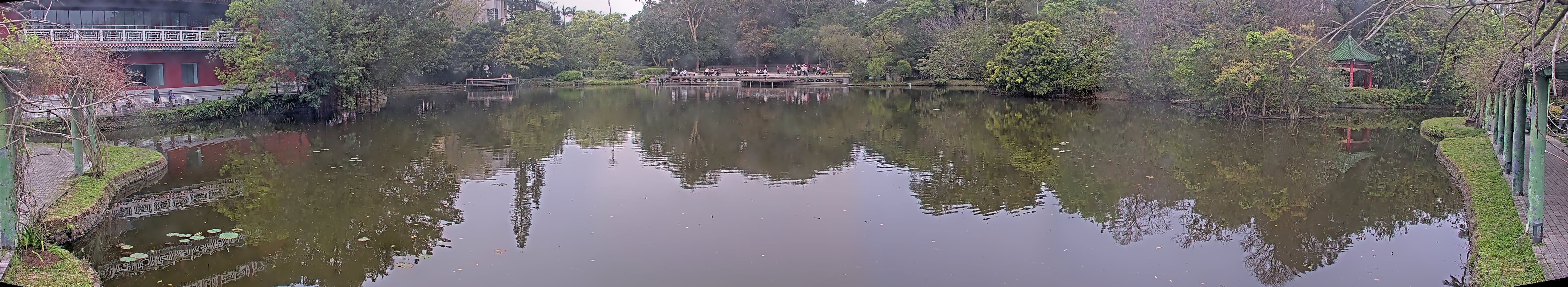 拍照日期:2025-03-11 時間:8時