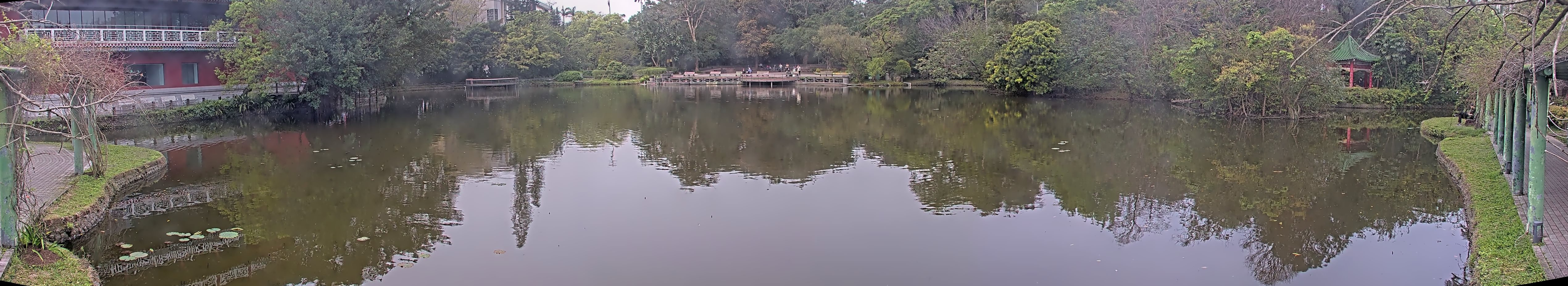 拍照日期:2025-03-11 時間:9時