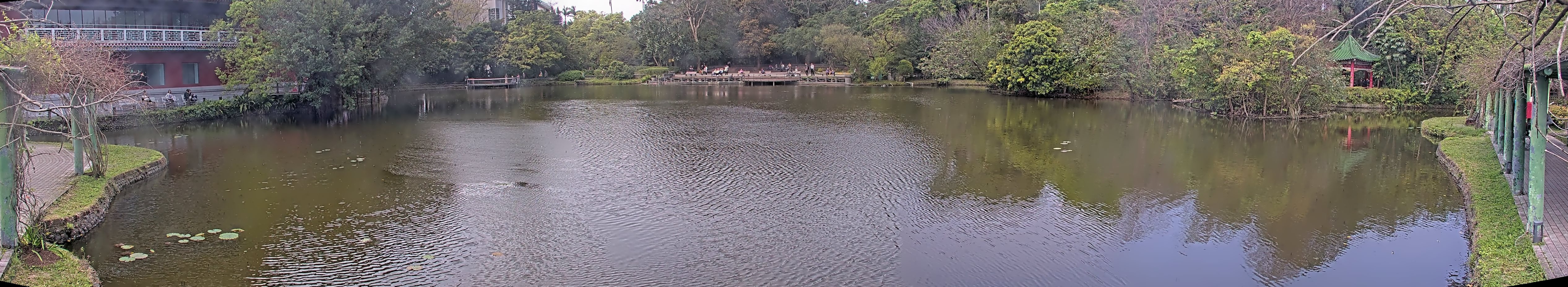 拍照日期:2025-03-11 時間:10時