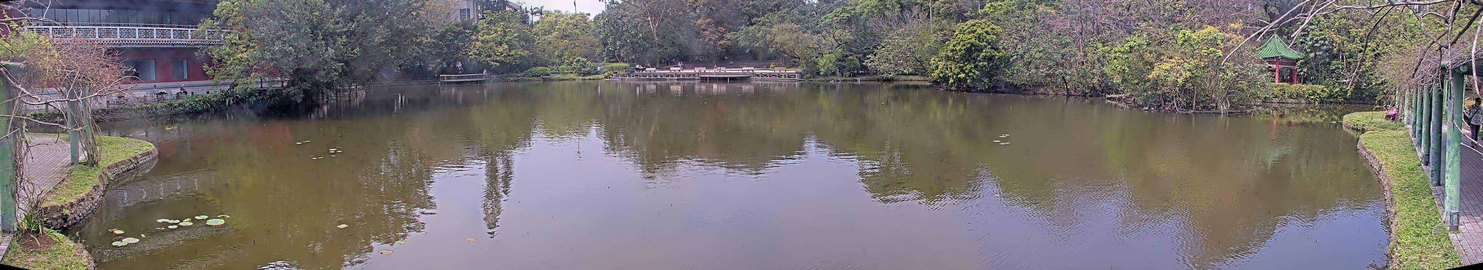 拍照日期:2025-03-11 時間:11時