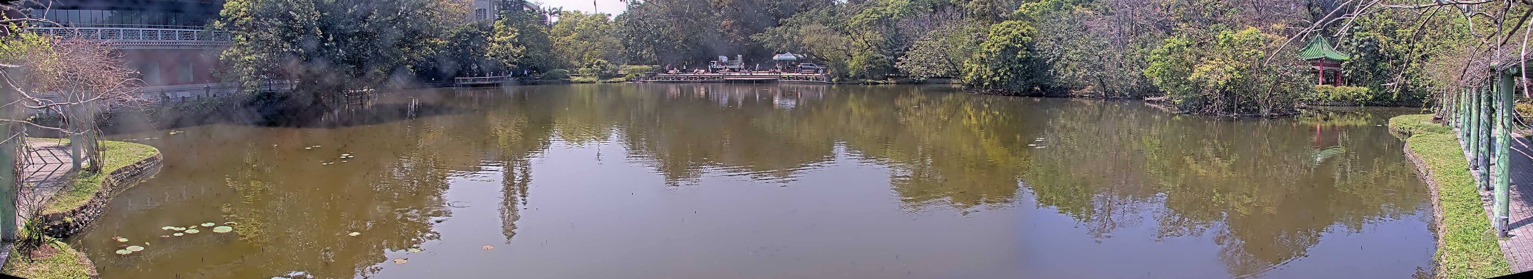 拍照日期:2025-03-11 時間:12時