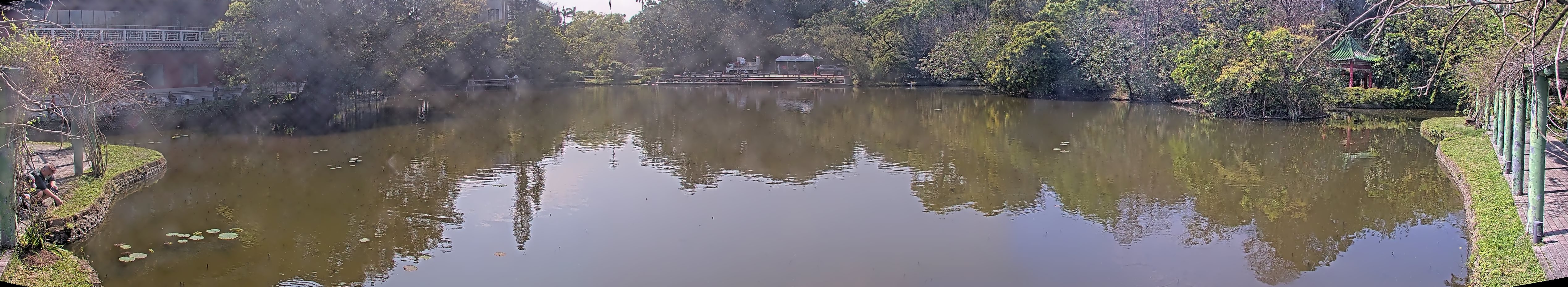 拍照日期:2025-03-11 時間:13時