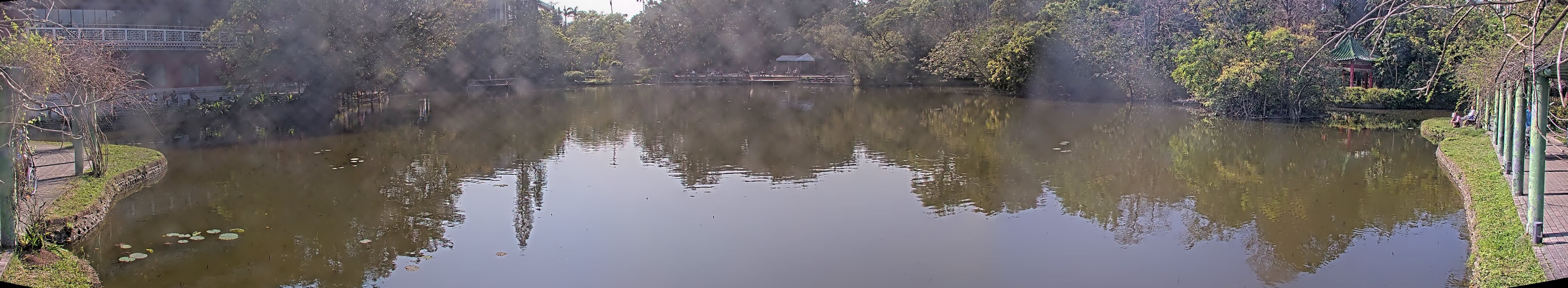 拍照日期:2025-03-11 時間:14時