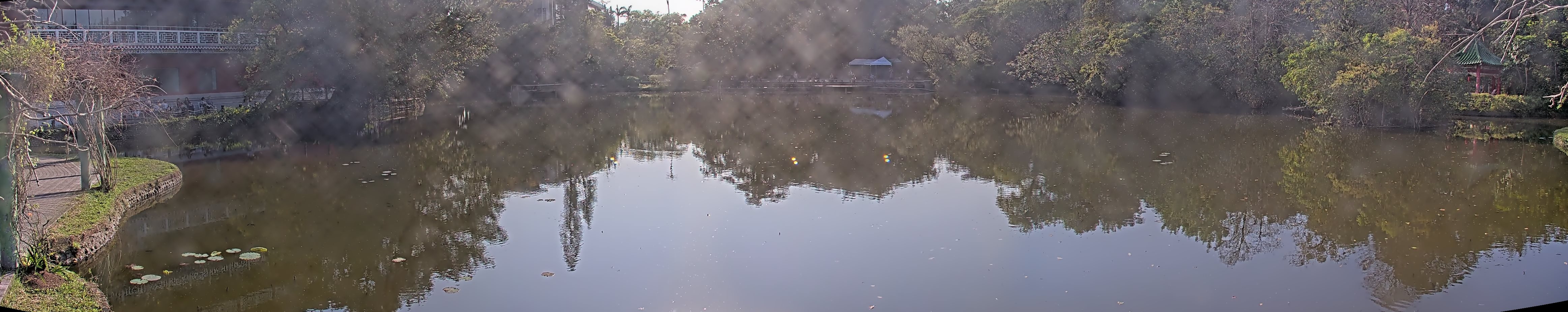 拍照日期:2025-03-11 時間:15時