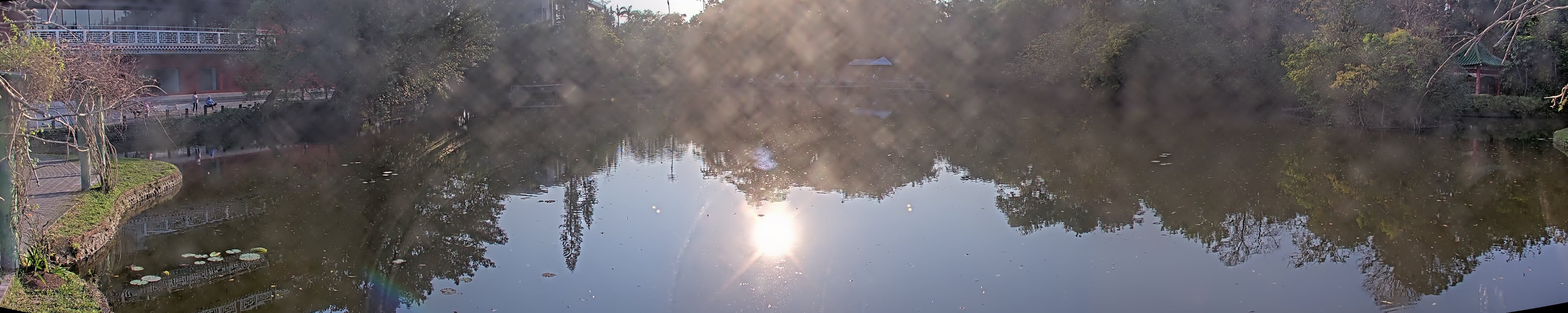 拍照日期:2025-03-11 時間:16時