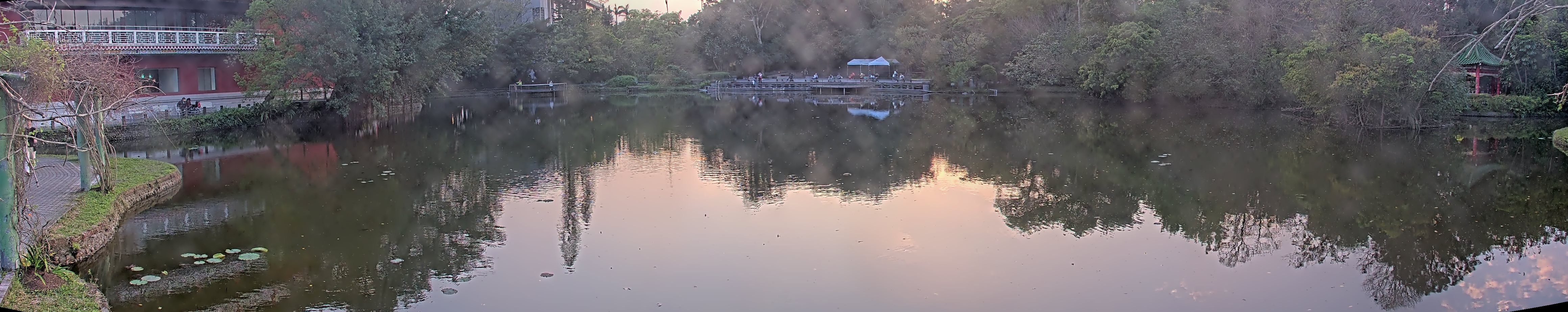 拍照日期:2025-03-11 時間:17時