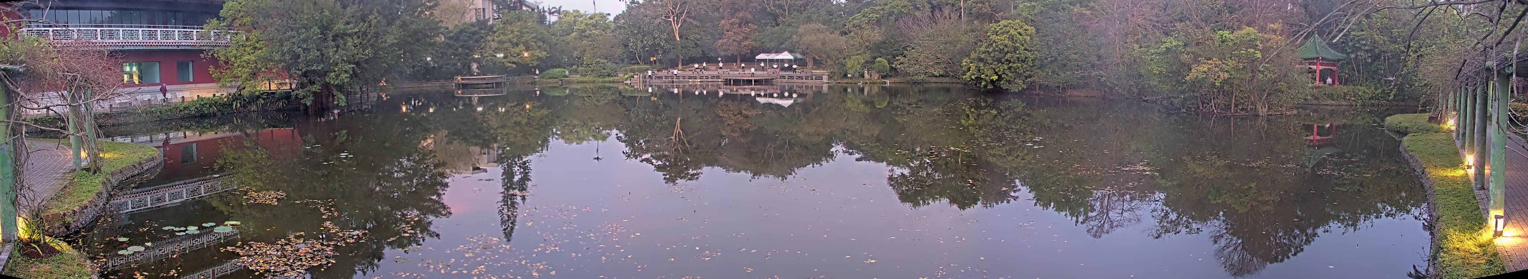 拍照日期:2025-03-12 時間:5時