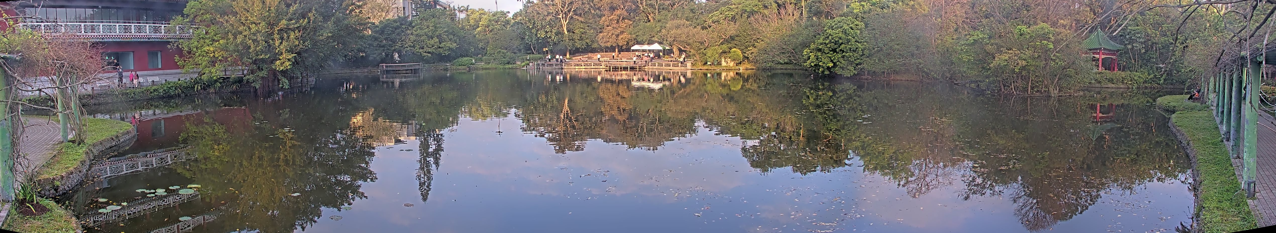 拍照日期:2025-03-12 時間:6時