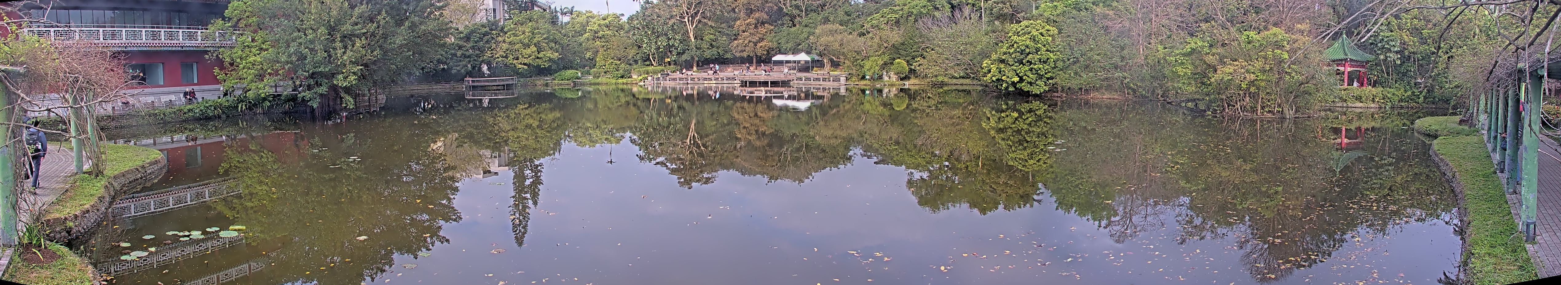 拍照日期:2025-03-12 時間:7時