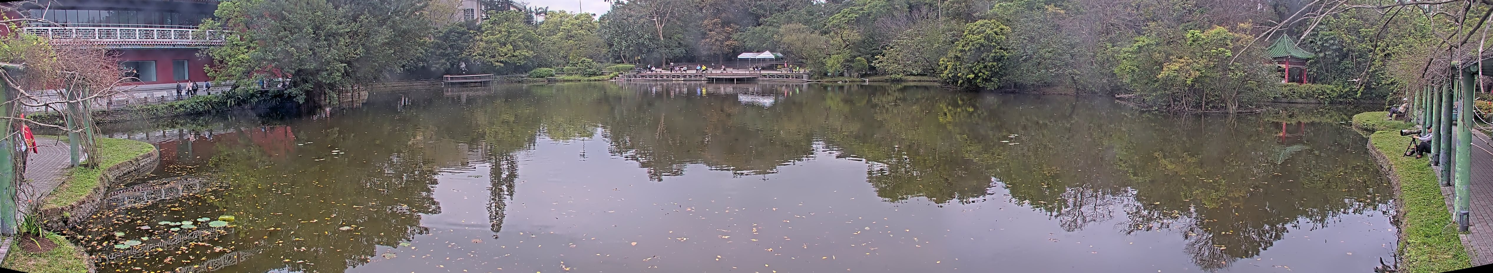 拍照日期:2025-03-12 時間:9時