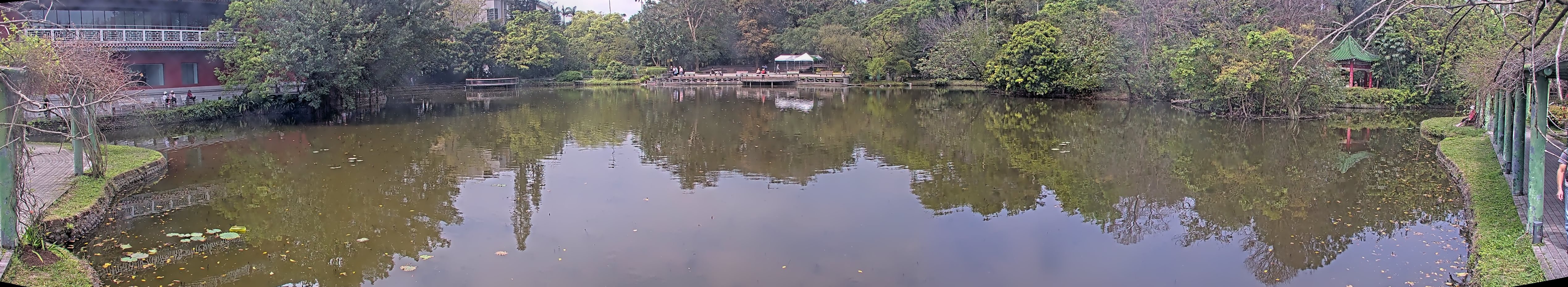 拍照日期:2025-03-12 時間:10時