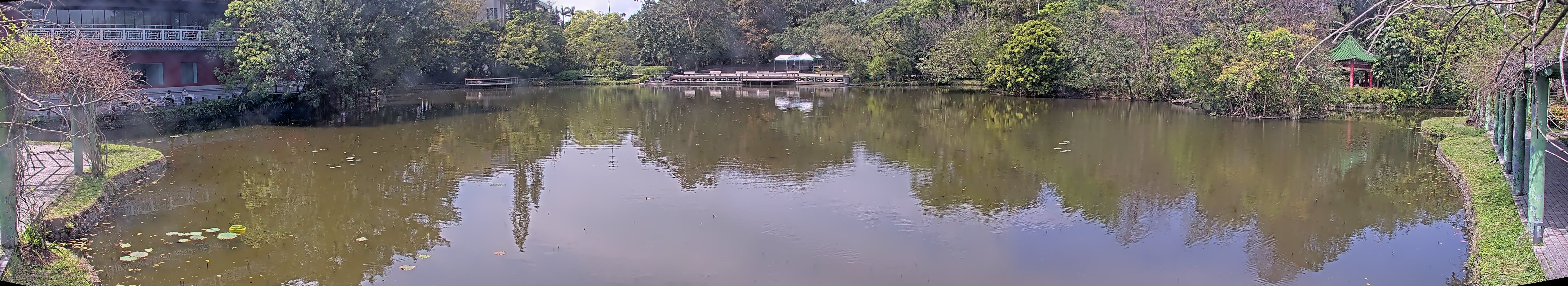 拍照日期:2025-03-12 時間:11時