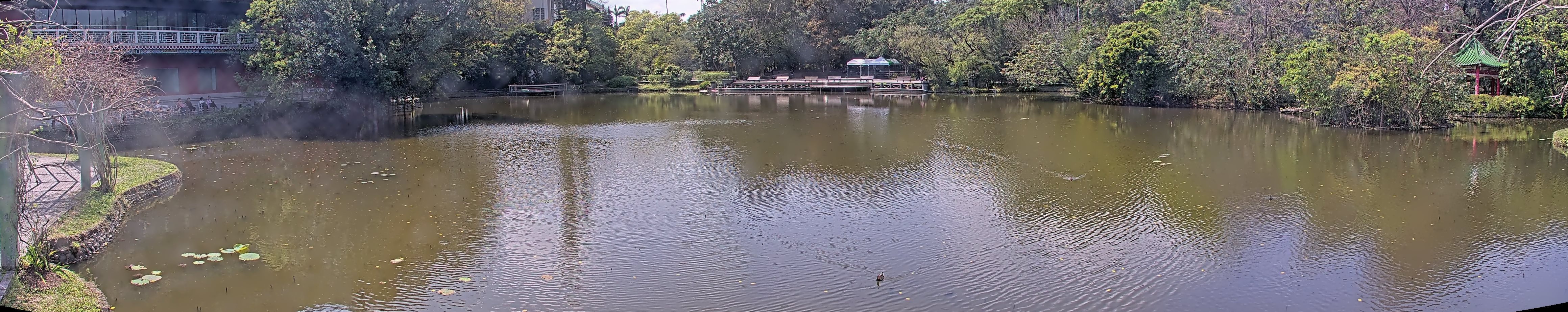 拍照日期:2025-03-12 時間:12時