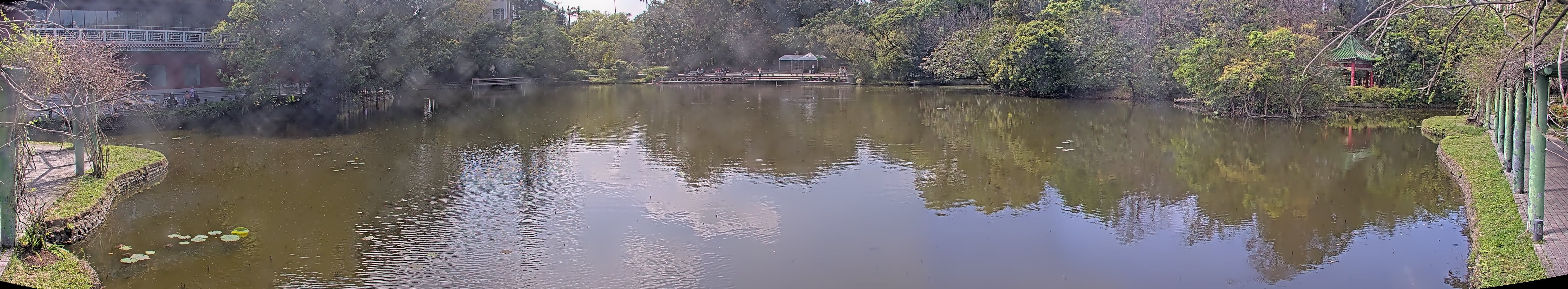 拍照日期:2025-03-12 時間:13時