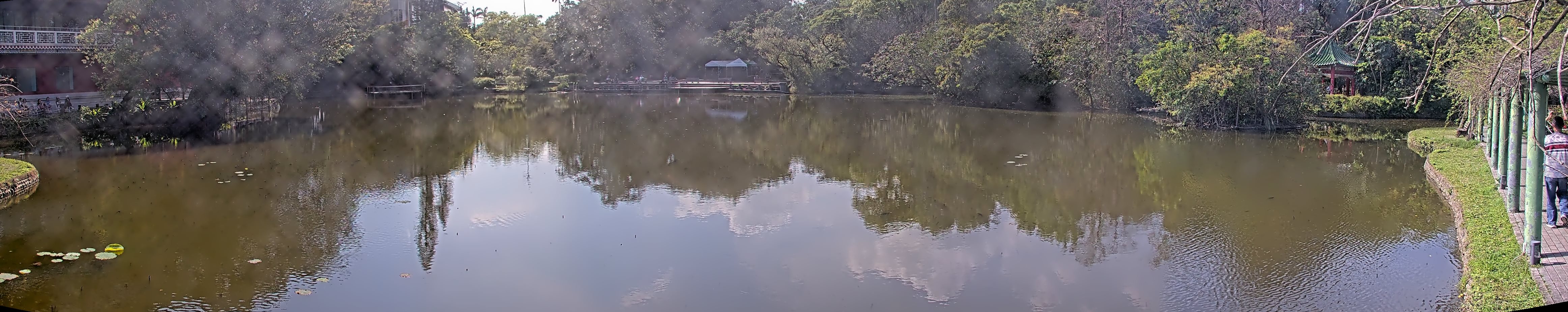 拍照日期:2025-03-12 時間:14時