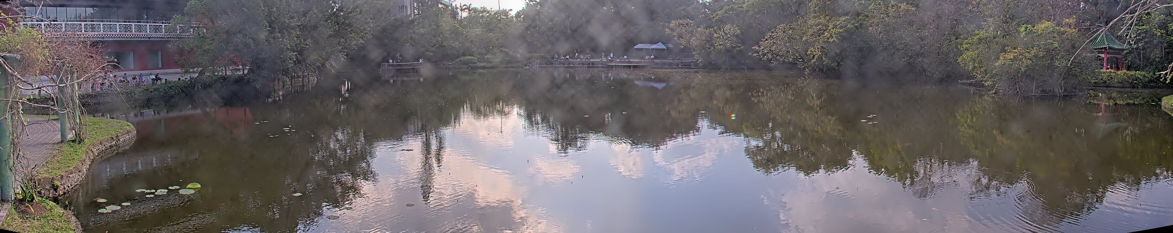 拍照日期:2025-03-12 時間:15時