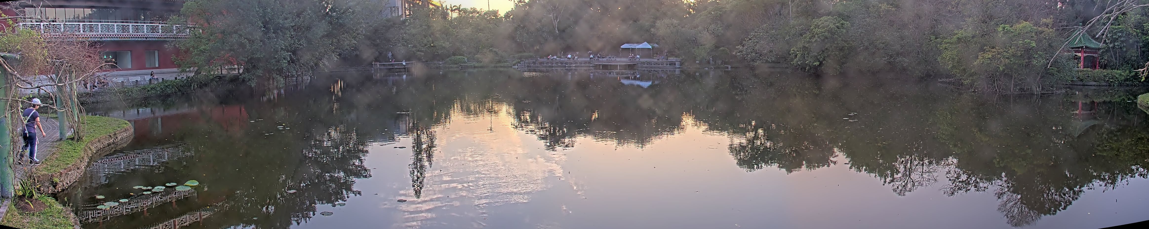 拍照日期:2025-03-12 時間:17時