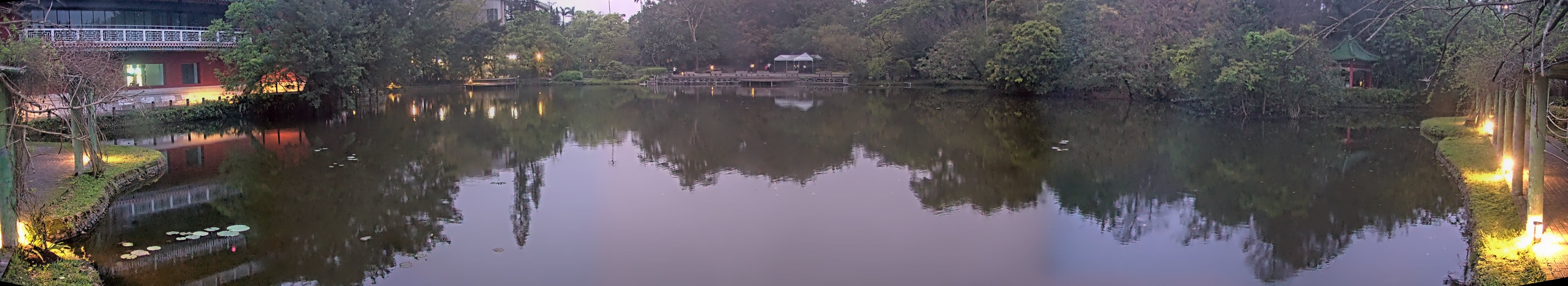 拍照日期:2025-03-14 時間:5時