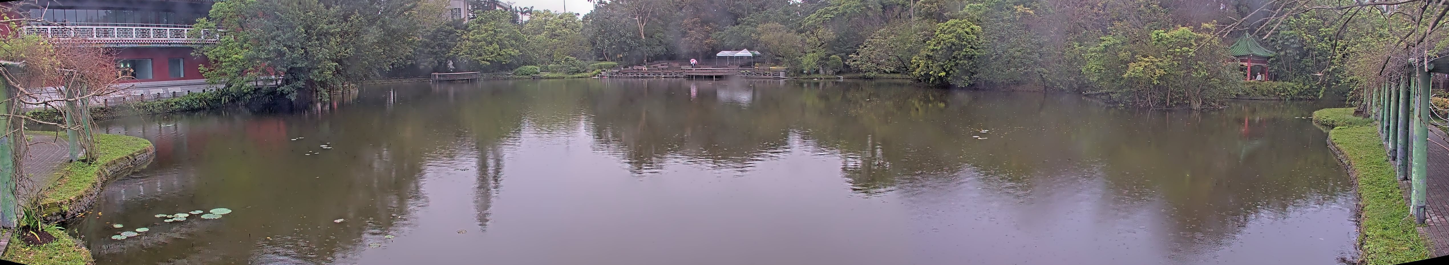 拍照日期:2025-03-14 時間:6時