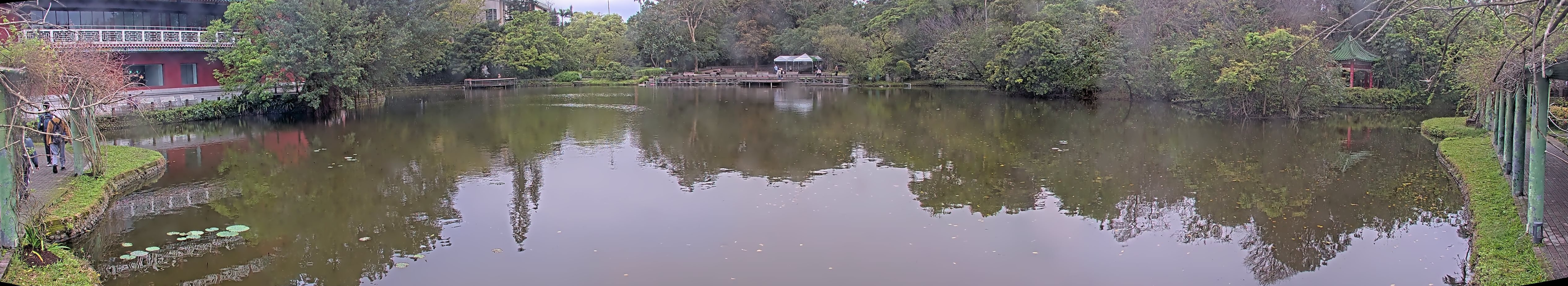 拍照日期:2025-03-14 時間:7時