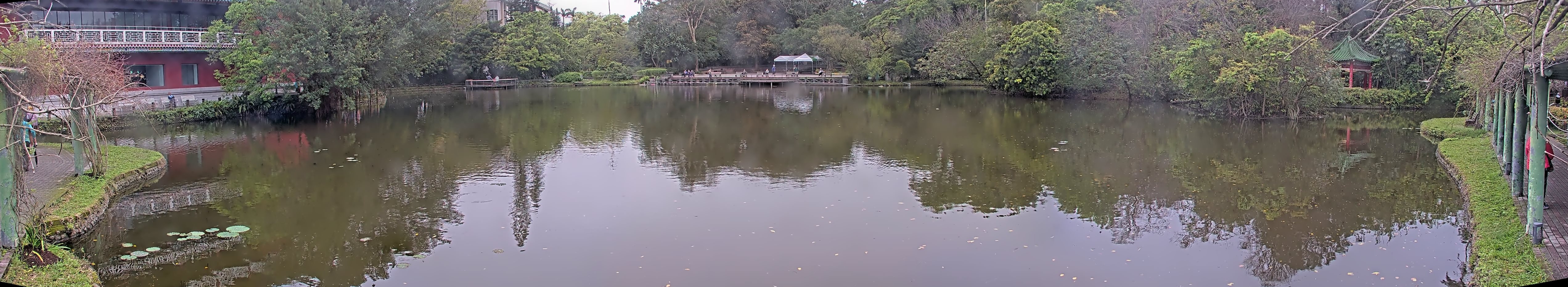 拍照日期:2025-03-14 時間:8時