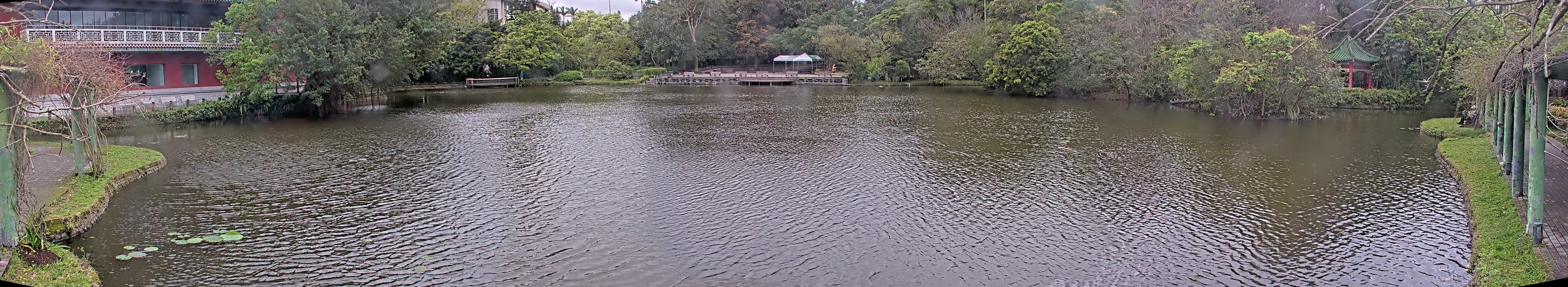 拍照日期:2025-03-14 時間:9時