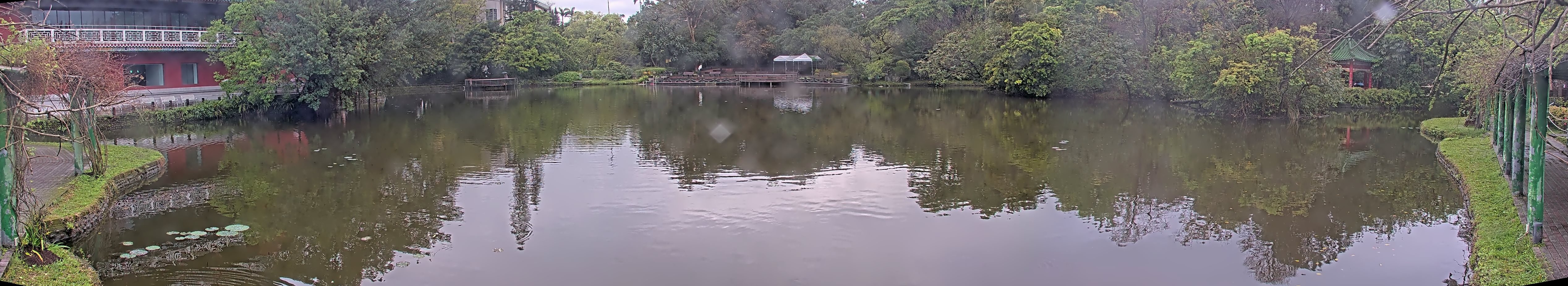 拍照日期:2025-03-14 時間:13時