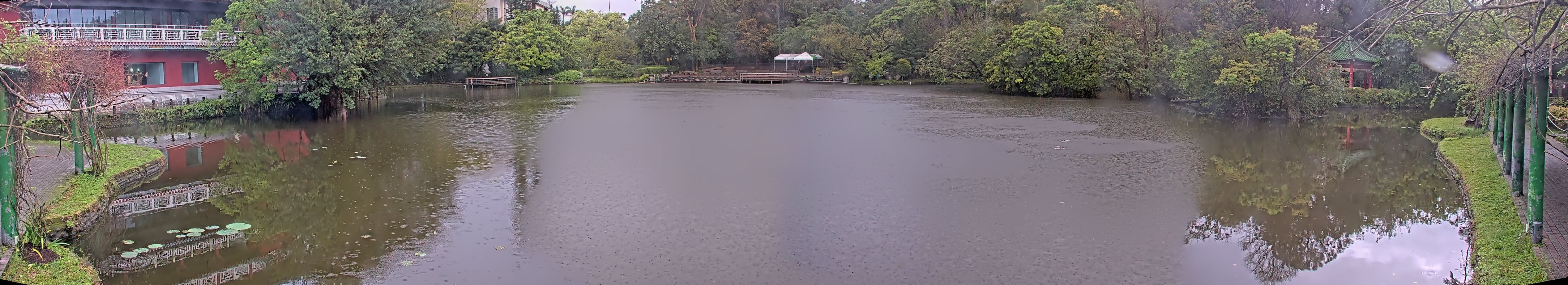 拍照日期:2025-03-15 時間:6時