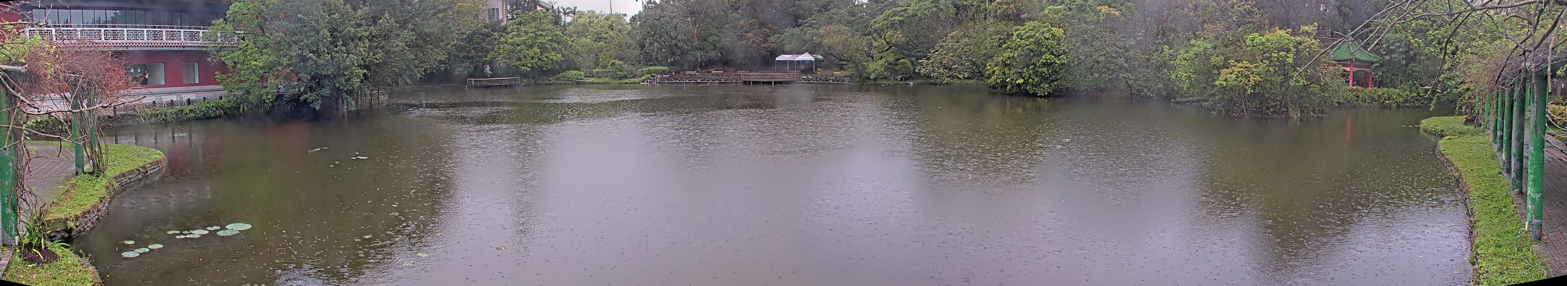 拍照日期:2025-03-15 時間:7時