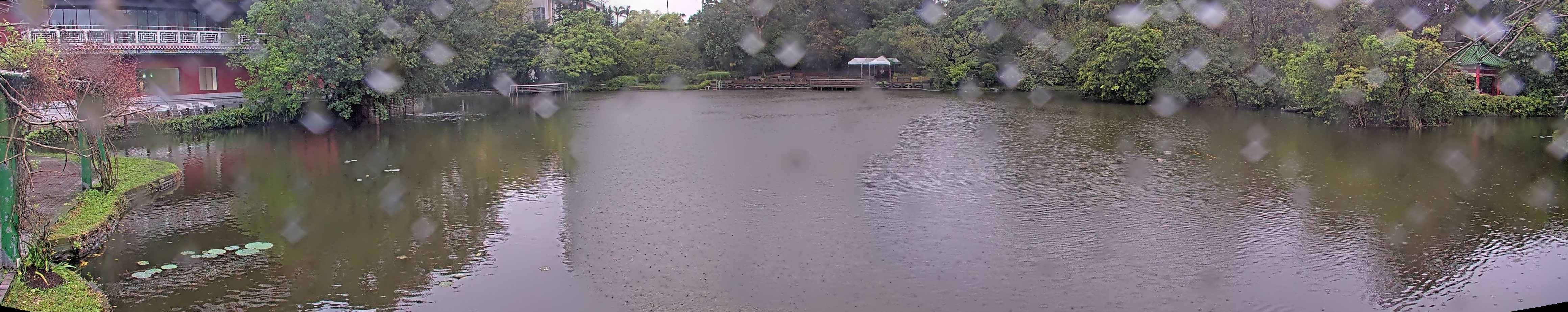 拍照日期:2025-03-15 時間:8時