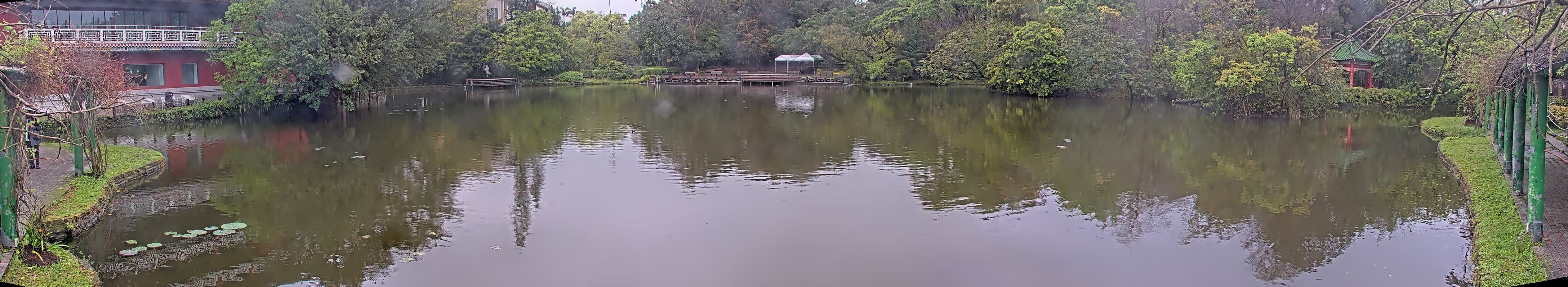 拍照日期:2025-03-15 時間:9時