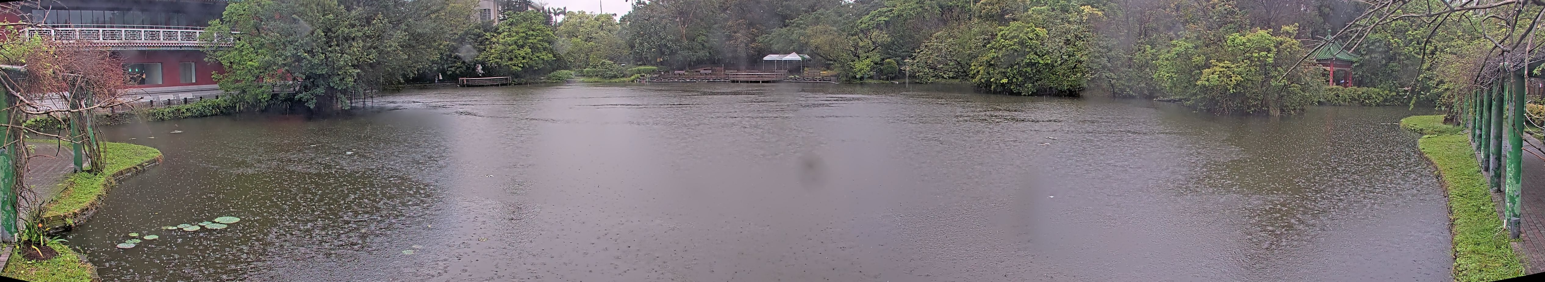 拍照日期:2025-03-15 時間:14時