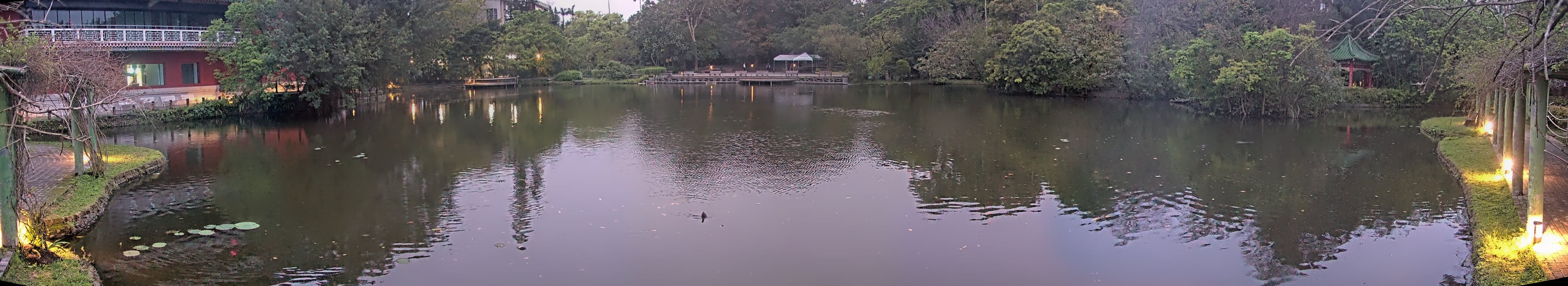 拍照日期:2025-03-17 時間:5時