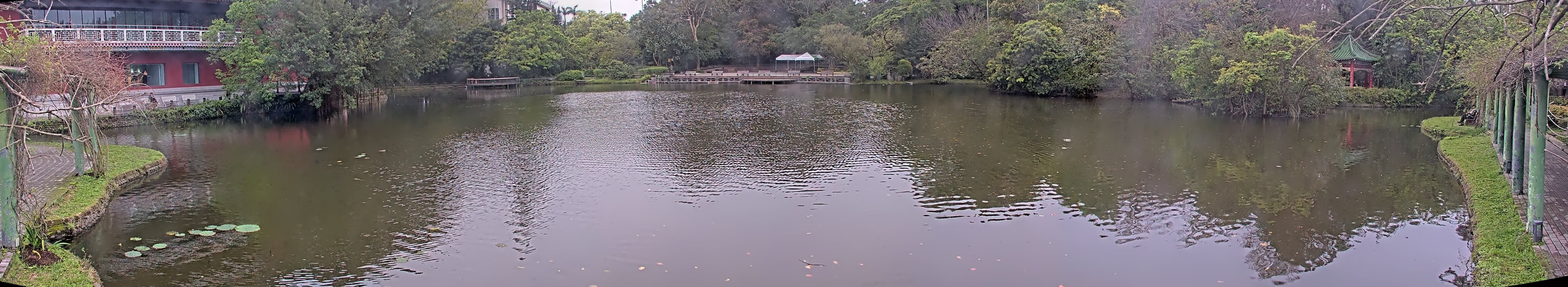 拍照日期:2025-03-17 時間:6時