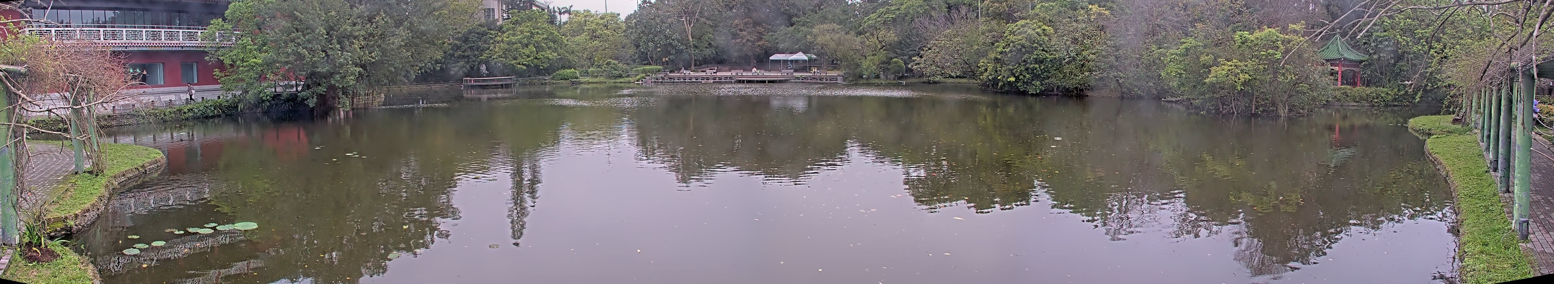 拍照日期:2025-03-17 時間:7時