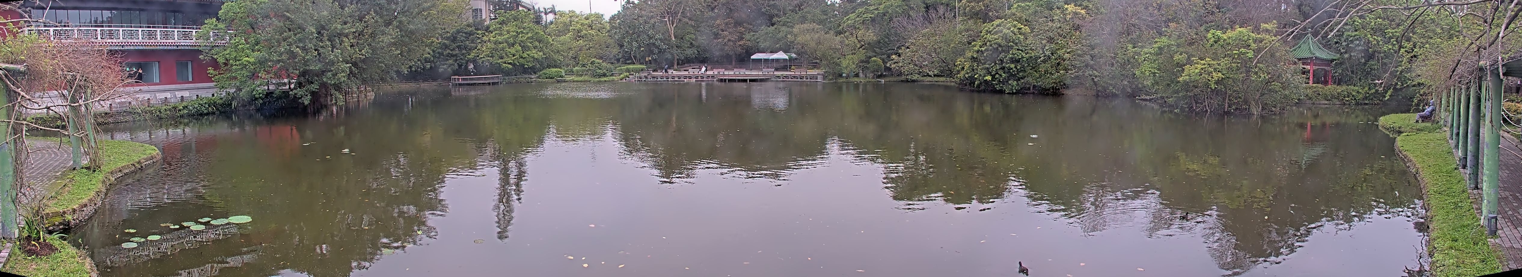 拍照日期:2025-03-17 時間:8時