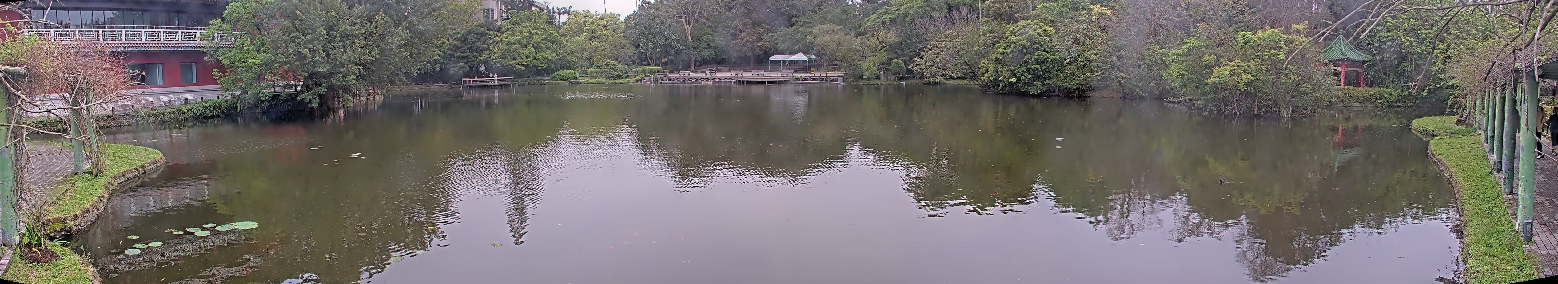 拍照日期:2025-03-17 時間:9時