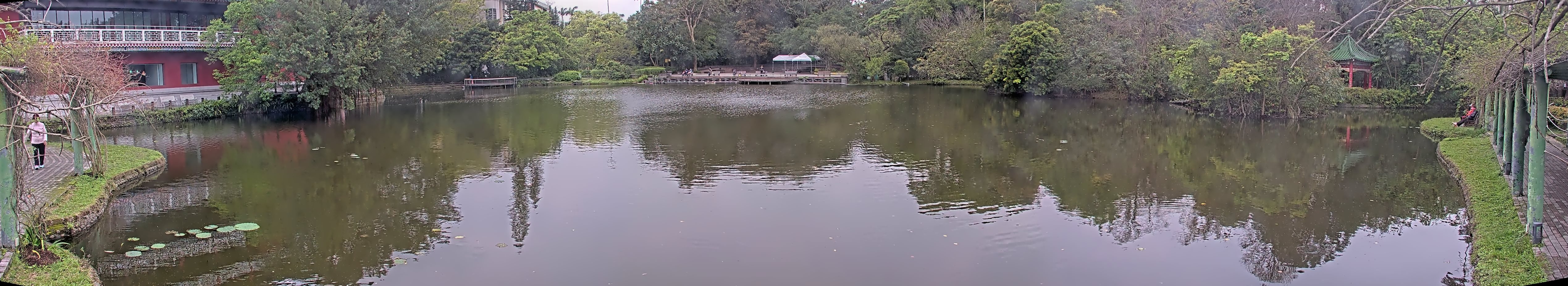 拍照日期:2025-03-17 時間:11時