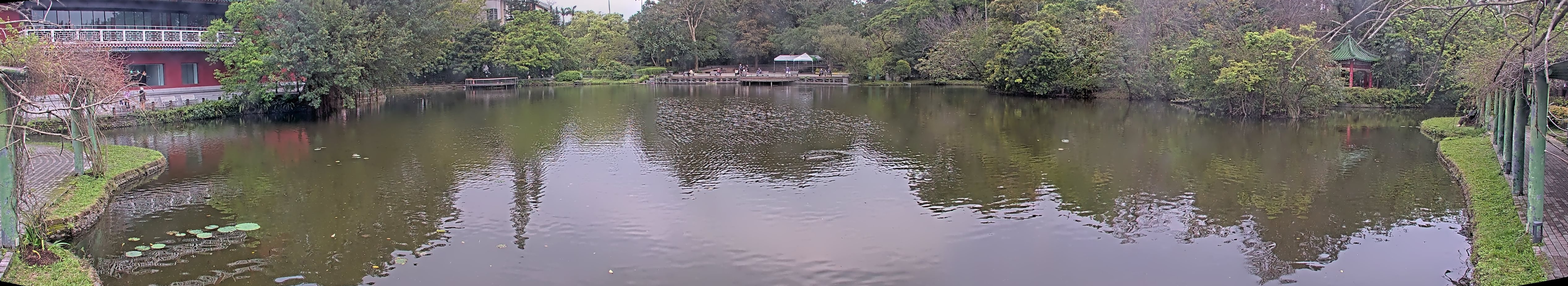 拍照日期:2025-03-17 時間:12時