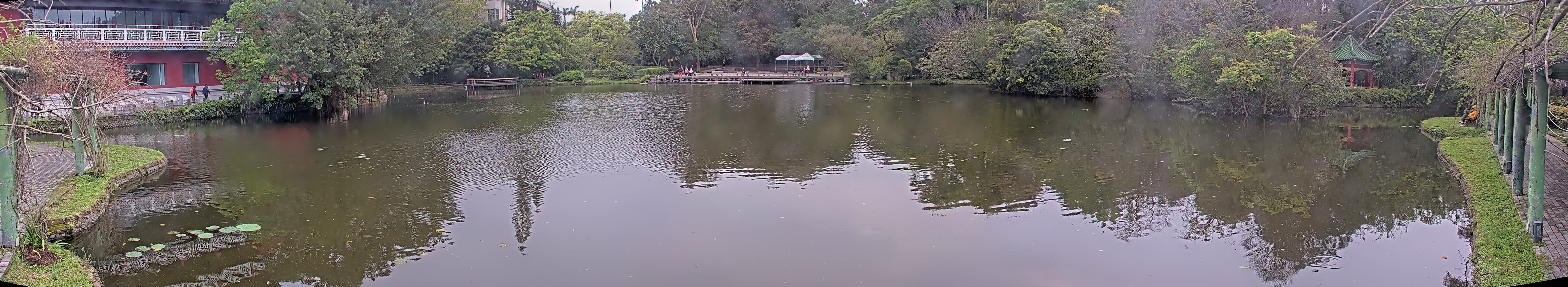 拍照日期:2025-03-17 時間:14時