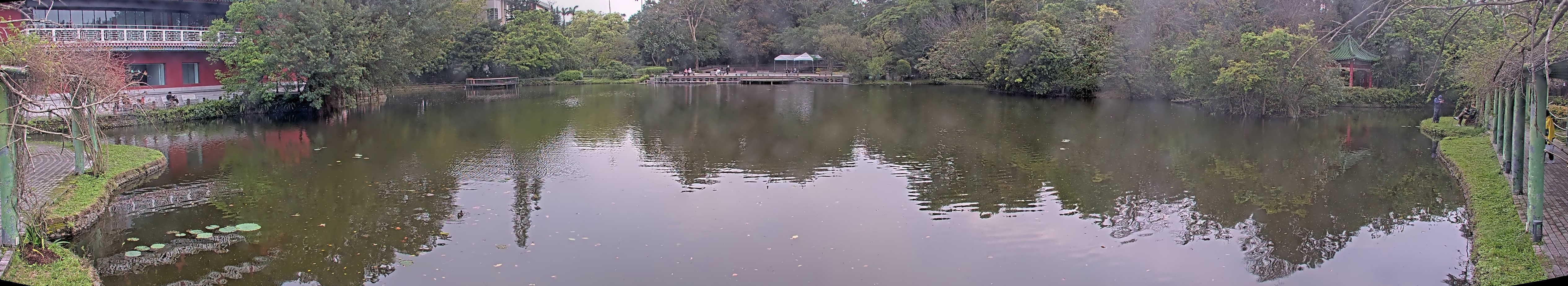 拍照日期:2025-03-17 時間:15時