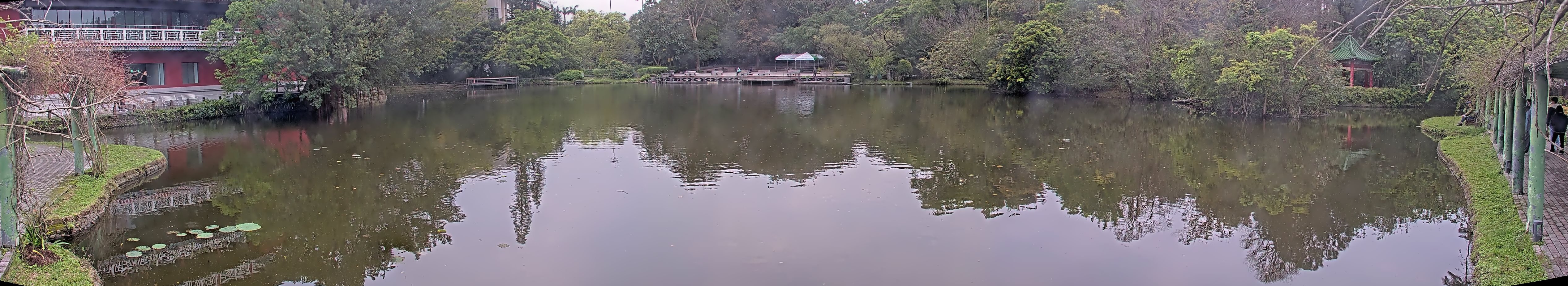 拍照日期:2025-03-17 時間:16時