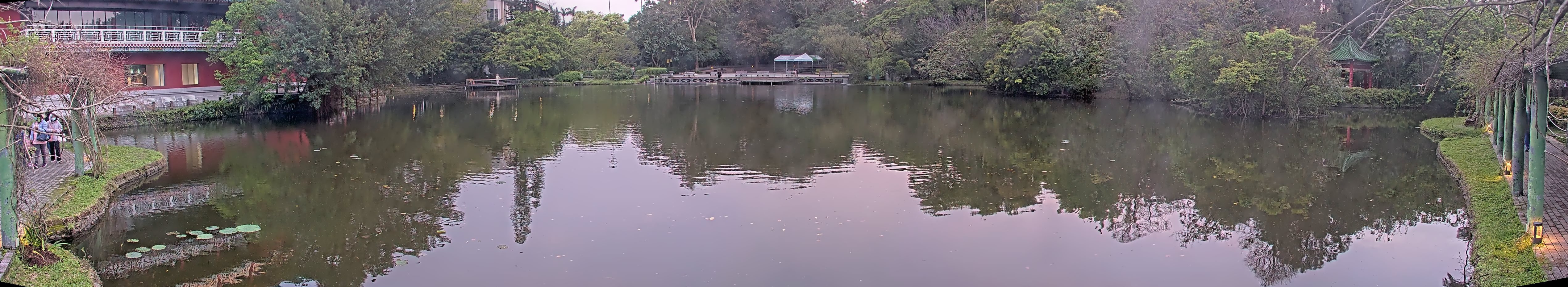 拍照日期:2025-03-17 時間:17時