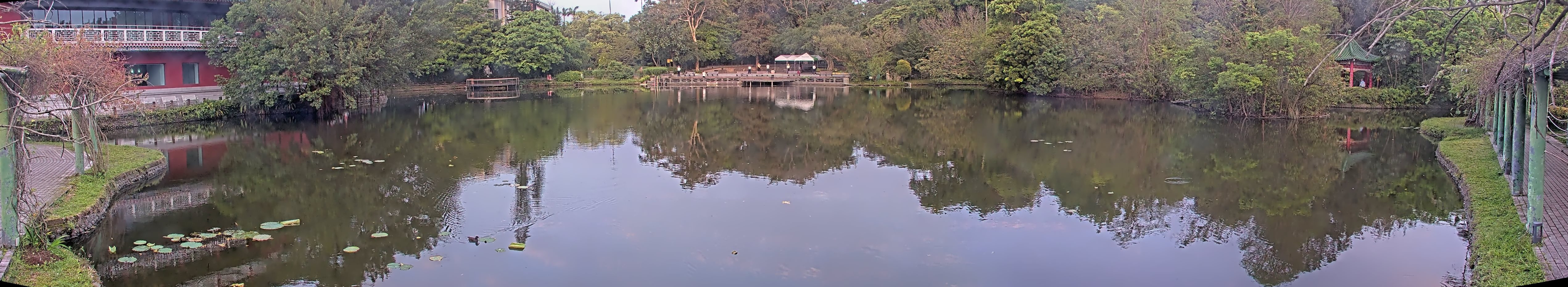 拍照日期：2025-04-04 時間：5時