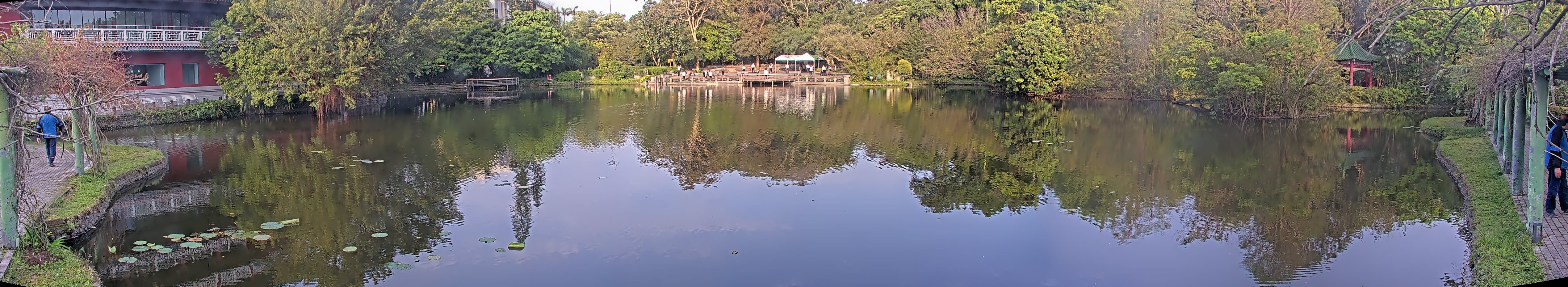 拍照日期：2025-04-04 時間：6時